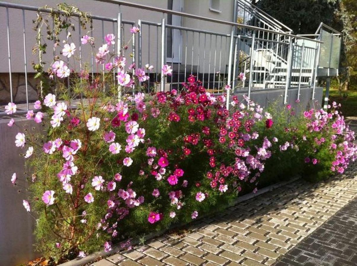 Ferienwohnungen Haus Sauer Offenheim Kültér fotó